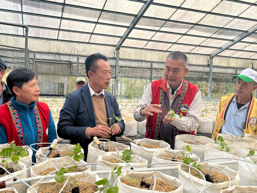 蔡巨才教授成功克服了阿里山高海拔氣候障礙與病蟲害，無毒栽培模式成功種植山葵